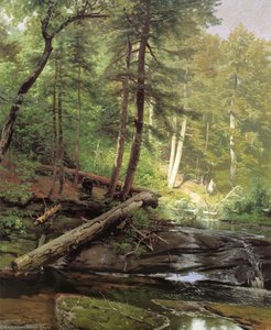 A Bear Approaching A Forest Stream — Herman Herzog