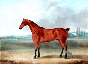 Horse — William Henry Davis