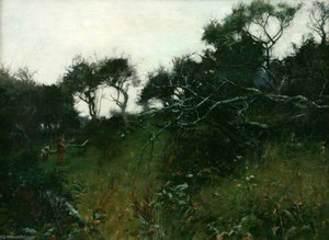 The Orchard (A Study into the Sun)