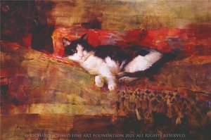 Zorro — Richard Schmid