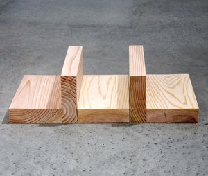 Douglas Fir Mini Rank — Carl Andre