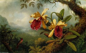 Orchids And Hummingbird Atc — Martin Johnson Heade