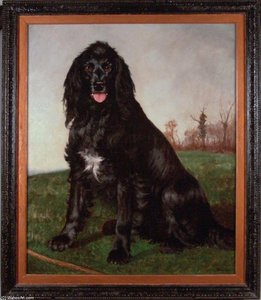A Black English Setter — George Paice