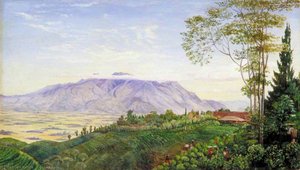 Tea Gathering In Mr Hölle's Plantation At Garoet, Java — Marianne North