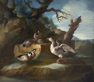 Ducks And Goose — Count Giorgio Duranti