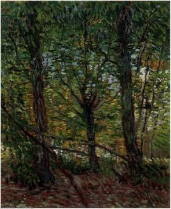 Trees And Undergrowth — Vincent Willem Van Gogh, Post-impressionism