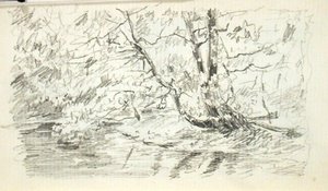Trees By Stream 4 — John Ottis Adams