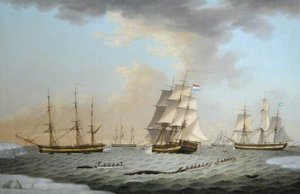 The 'gilder' In The Arctic — Robert Willoughby