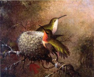 Two Ruby Throats By Their Nest — Martin Johnson Heade