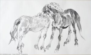 Engaging — Yuan Xikun
