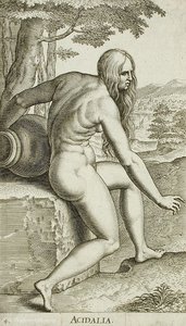 Acidalia