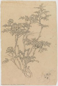 Flower Studies — Xie Zhiliu, Shanghai School