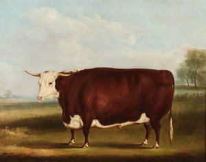 Prize Bull — William Henry Davis