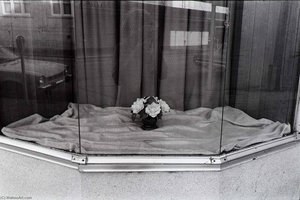 Untitled (Store Window and Flowers)