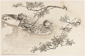 Ducks And Blossoming Branches — Xie Zhiliu
