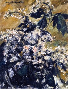 Horse Chestnut Blossoms — Lovis Corinth