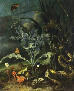 A Forest Floor Still Life