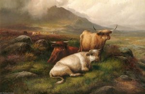Cattle — John Morris