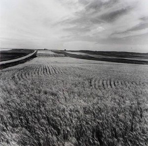 Kiowa County, From The Kansas Documentary Survey Project — Larry W Schwarm