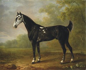 Nimrod Aged Seven, In A Wooded Landscape — Sawrey Gilpin