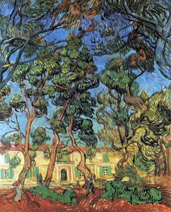 The Grounds Of The Asylum — Vincent Willem Van Gogh, Post-impressionism