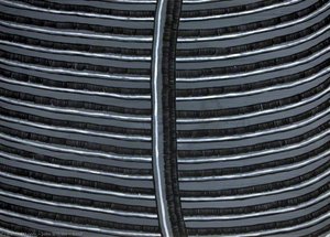 Bend — John Wilkins