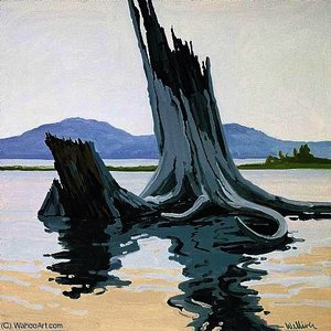 Stumps And Allagash — Neil Gavin Welliver
