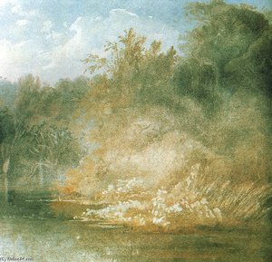 Forest Scene On The Lehigh — Karl Bodmer
