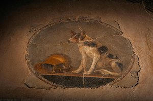 Alexandria Library Museum Mosaic — Kenneth Garrett