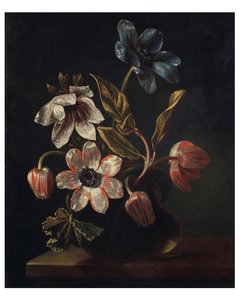Tulips And Anemones In A Glass Vase On A Ledge — Simon Pietersz Verelst