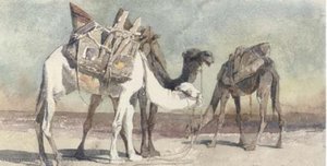 Camels At Damascus — Carl Haag
