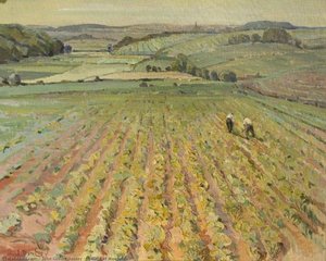 A Field Of Mangolds — John Gilbert Donley
