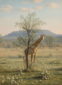 The Gilded Solitude Of The Savannah — Loïc Perrin
