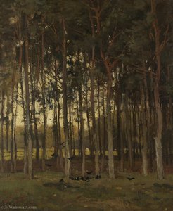 Woodland scene