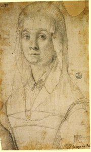 Study of a Woman, possibly Maria Salviati