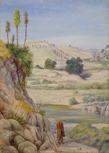 View Near Quilpue, Chili — Marianne North
