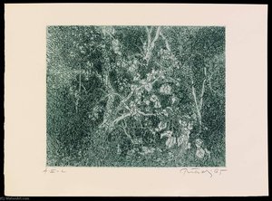 Catalpa, From The Portfolio A Genesis — Gabor Peterdi