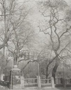 110th Street And Manhattan Avenue — Madoka Takagi