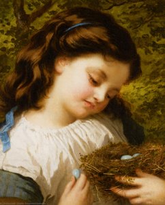 The Birds Nest