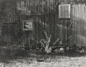 Mr. Bristol's Barn 86 — John Szarkowski