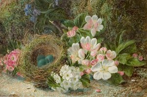 Bird's Nest With Apple And Hawthorn Blossom — Oliver Clare