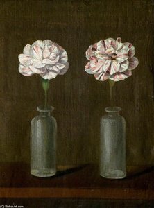 Carnations