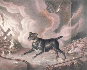 The London Fireman's Dog — William Heath