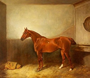 A Chestnut Hunter With A White Blaze In His Stable — John Alfred Wheeler