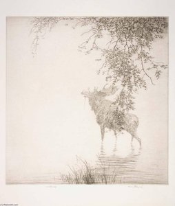 Shadows On The Agawa — Kerr Eby