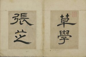 Album Of Calligraphy(楷行篆隸帖_草學張芝) — Yi Gwangsa(圓嶠 李匡師)