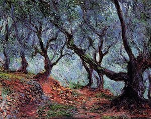 Olive Grove In Bordighera — Claude Monet
