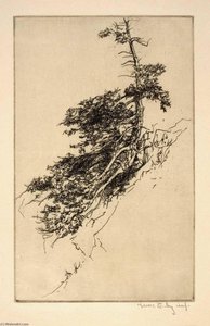 Little Rock Pine — Kerr Eby