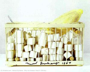 Warum Nicht Schneehniesen, Rose Sélavy — Marcel Duchamp