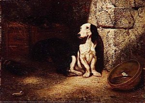CHIEN BASSET NOIR ET BLANC AU CHENIL